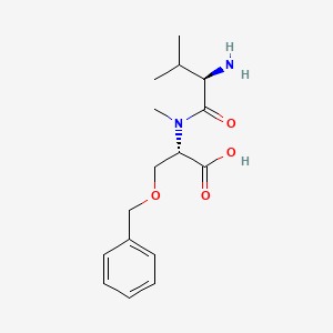 molecular formula C16H24N2O4 B14190022 D-Valyl-O-benzyl-N-methyl-L-serine CAS No. 921934-15-8