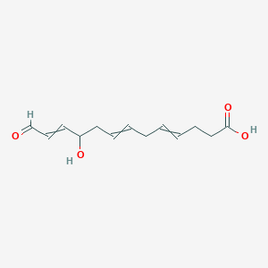 molecular formula C13H18O4 B14190962 10-Hydroxy-13-oxotrideca-4,7,11-trienoic acid CAS No. 922508-98-3