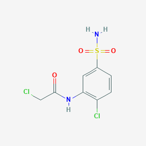 molecular formula C8H8Cl2N2O3S B1419163 2-氯-N-(2-氯-5-磺酰苯基)乙酰胺 CAS No. 1154121-22-8