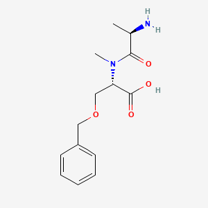 molecular formula C14H20N2O4 B14191653 D-Alanyl-O-benzyl-N-methyl-L-serine CAS No. 921934-13-6