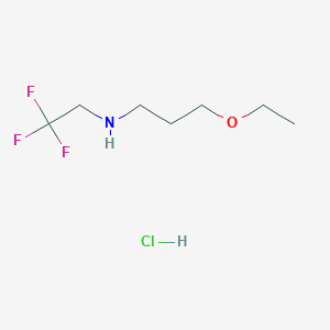 molecular formula C7H15ClF3NO B1419268 (3-乙氧基丙基)(2,2,2-三氟乙基)胺盐酸盐 CAS No. 1171876-76-8