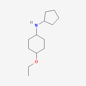 N-cyclopentyl-4-ethoxycyclohexan-1-amine