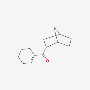 molecular formula C14H20O B14193705 (Bicyclo[2.2.1]heptan-2-yl)(cyclohex-1-en-1-yl)methanone CAS No. 917906-10-6