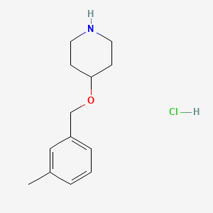 molecular formula C13H20ClNO B1419501 4-[(3-甲基苄基)氧基]哌啶盐酸盐 CAS No. 1185304-38-4