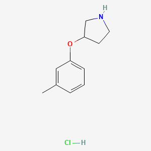 molecular formula C11H16ClNO B1419503 3-(3-甲基苯氧基)吡咯烷盐酸盐 CAS No. 1185051-04-0