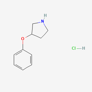 molecular formula C10H14ClNO B1419505 3-苯氧基吡咯烷盐酸盐 CAS No. 21767-15-7
