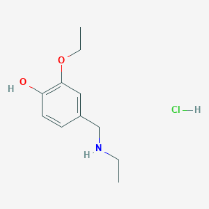 molecular formula C11H18ClNO2 B1419528 2-Ethoxy-4-[(ethylamino)methyl]phenol hydrochloride CAS No. 1177299-69-2