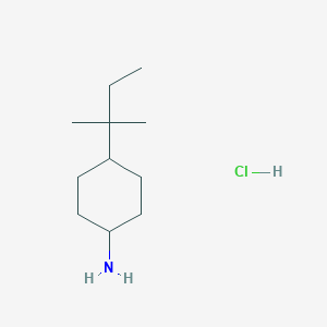 molecular formula C11H24ClN B1419570 4-(1,1-二甲基丙基)环己胺盐酸盐 CAS No. 1177354-16-3