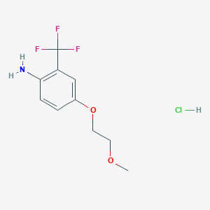 molecular formula C10H13ClF3NO2 B1419590 4-(2-Methoxyethoxy)-2-(trifluoromethyl)aniline hydrochloride CAS No. 1185300-81-5