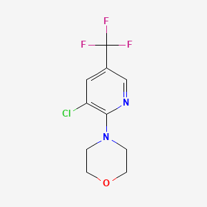 molecular formula C10H10ClF3N2O B1419625 4-(3-氯-5-(三氟甲基)吡啶-2-基)吗啉 CAS No. 1100767-03-0