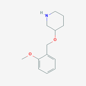 molecular formula C13H19NO2 B1419721 3-[(2-Methoxybenzyl)oxy]piperidine CAS No. 946759-00-8