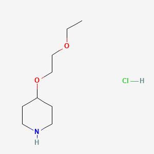 molecular formula C9H20ClNO2 B1419730 2-Ethoxyethyl 4-piperidinyl ether hydrochloride CAS No. 1185176-72-0