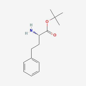 molecular formula C14H22ClNO2 B1419791 L-同苯丙氨酸叔丁基酯 CAS No. 83079-77-0
