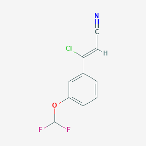 molecular formula C10H6ClF2NO B1419834 3-Chloro-3-[3-(difluoromethoxy)phenyl]prop-2-enenitrile CAS No. 1158127-34-4