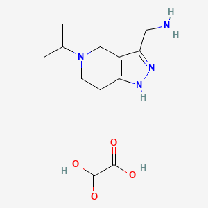 molecular formula C12H20N4O4 B1419856 [(5-Isopropyl-4,5,6,7-tetrahydro-1H-pyrazolo-[4,3-c]pyridin-3-yl)methyl]amine oxalate CAS No. 1201633-49-9