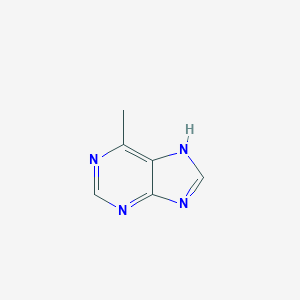 molecular formula C6H6N4 B014201 6-Methylpurine CAS No. 2004-03-7
