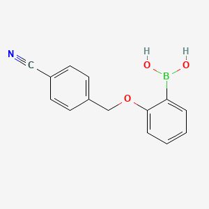 molecular formula C14H12BNO3 B1420350 2-(4-Cyanophenylmethoxy)phenylboronic acid CAS No. 1256355-66-4