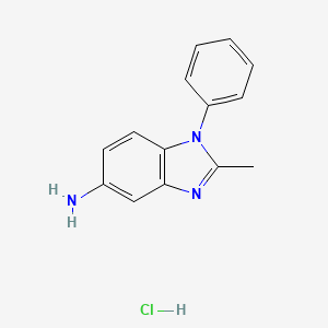 molecular formula C14H14ClN3 B1420397 2-甲基-1-苯基-1H-苯并咪唑-5-胺盐酸盐 CAS No. 3018-68-6