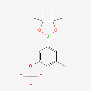 molecular formula C14H18BF3O3 B1420448 4,4,5,5-四甲基-2-(3-甲基-5-(三氟甲氧基)苯基)-1,3,2-二氧杂硼环丁烷 CAS No. 1150561-56-0