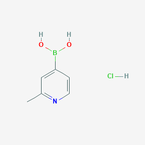 molecular formula C6H9BClNO2 B1420454 (2-Methylpyridin-4-yl)boronic acid hydrochloride CAS No. 861905-97-7
