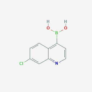 molecular formula C9H7BClNO2 B1420533 7-氯喹啉-4-硼酸 CAS No. 936940-92-0