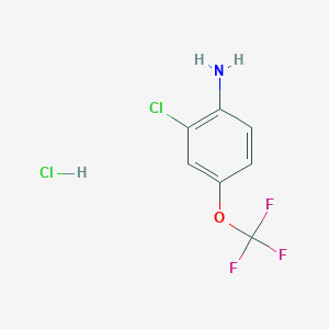molecular formula C7H6Cl2F3NO B1420544 2-氯-4-(三氟甲氧基)苯胺盐酸盐 CAS No. 1187386-31-7