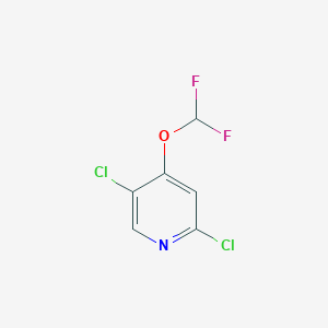 molecular formula C6H3Cl2F2NO B1420771 2,5-二氯-4-(二氟甲氧基)吡啶 CAS No. 1214329-50-6