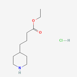 molecular formula C11H22ClNO2 B1420802 4-(哌啶-4-基)丁酸乙酯盐酸盐 CAS No. 473987-07-4