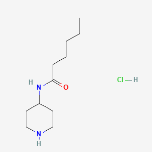 molecular formula C11H23ClN2O B1420830 N-(piperidin-4-yl)hexanamide hydrochloride CAS No. 1221722-76-4