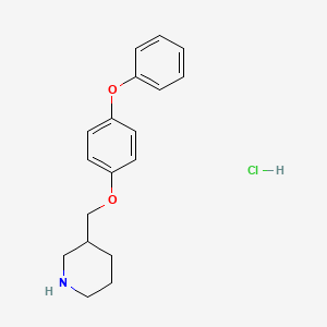 molecular formula C18H22ClNO2 B1420886 3-[(4-Phenoxyphenoxy)methyl]piperidine hydrochloride CAS No. 1185296-62-1