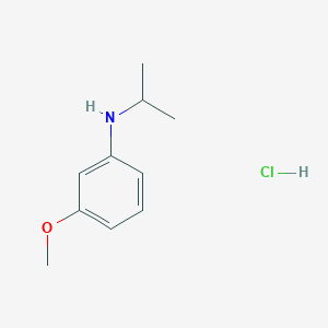 molecular formula C10H16ClNO B1420935 3-甲氧基-N-(丙-2-基)苯胺盐酸盐 CAS No. 1240527-18-7