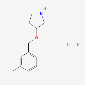 molecular formula C12H18ClNO B1421014 3-[(3-Methylbenzyl)oxy]pyrrolidine hydrochloride CAS No. 1185303-37-0