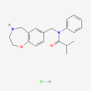 molecular formula C20H25ClN2O2 B1421020 2-methyl-N-phenyl-N-(2,3,4,5-tetrahydro-1,4-benzoxazepin-7-ylmethyl)propanamide hydrochloride CAS No. 1185302-76-4