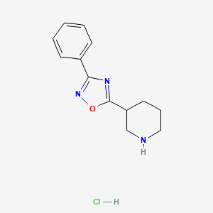 molecular formula C13H16ClN3O B1421021 3-(3-Phenyl-1,2,4-oxadiazol-5-yl)piperidine hydrochloride CAS No. 1185302-70-8
