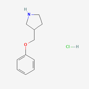 molecular formula C11H16ClNO B1421077 3-(苯氧甲基)吡咯烷盐酸盐 CAS No. 1185299-28-8