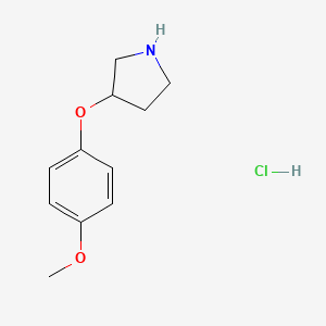 molecular formula C11H16ClNO2 B1421089 3-(4-甲氧基苯氧基)吡咯烷盐酸盐 CAS No. 23123-09-3