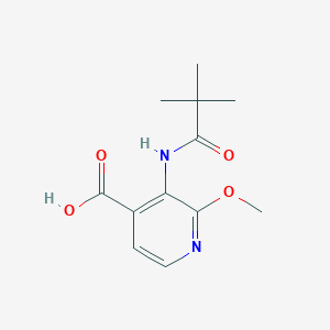 B1421093 2-Methoxy-3-pivalamidoisonicotinic acid CAS No. 705291-48-1
