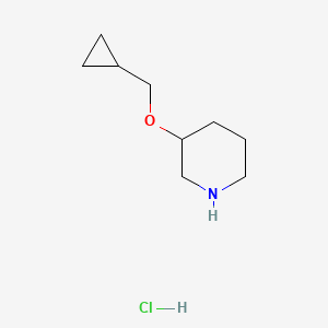 molecular formula C9H18ClNO B1421111 3-(环丙基甲氧基)哌啶盐酸盐 CAS No. 1185301-38-5