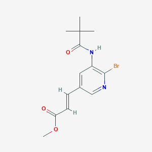 molecular formula C14H17BrN2O3 B1421126 3-(6-溴-5-叔丁酰氨基吡啶-3-基)丙烯酸甲酯 CAS No. 1171919-95-1