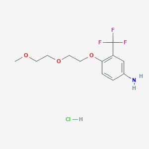B1421146 4-[2-(2-Methoxyethoxy)ethoxy]-3-(trifluoromethyl)-phenylamine hydrochloride CAS No. 1185297-16-8