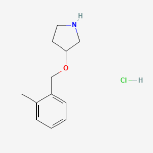 molecular formula C12H18ClNO B1421150 3-[(2-Methylbenzyl)oxy]pyrrolidine hydrochloride CAS No. 1185297-72-6