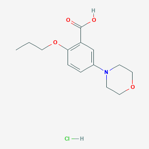 molecular formula C14H20ClNO4 B1421155 5-Morpholin-4-YL-2-propoxy-benzoic acid hydrochloride CAS No. 1011366-29-2