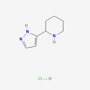 molecular formula C8H14ClN3 B1421171 2-(1H-吡唑-3-基)-哌啶盐酸盐 CAS No. 1185301-67-0