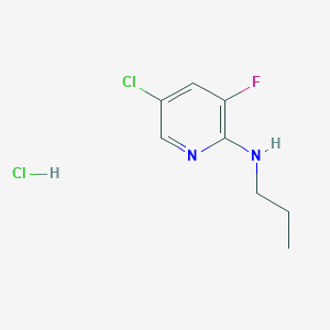 B1421190 5-Chloro-3-fluoro-2-(N-propylamino)pyridine, HCl CAS No. 1073372-11-8