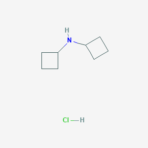molecular formula C8H16ClN B1421231 Dicyclobutylamine hydrochloride CAS No. 90203-81-9
