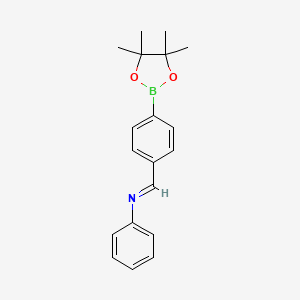 molecular formula C19H22BNO2 B1421285 4-Phenyliminomethylphenyl boronic acid pinacol ester CAS No. 1073372-06-1