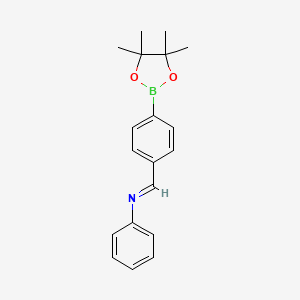 molecular formula C19H22BNO2 B1421285 4-苯基亚胺甲基苯硼酸频哪醇酯 CAS No. 1073372-06-1