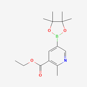 molecular formula C15H22BNO4 B1421296 Ethyl 2-methyl-5-(4,4,5,5-tetramethyl-1,3,2-dioxaborolan-2-yl)nicotinate CAS No. 1150561-58-2