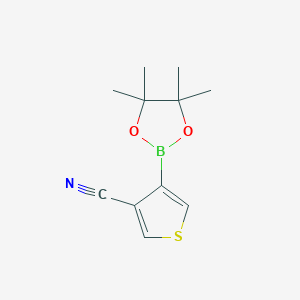 molecular formula C11H14BNO2S B1421302 4-(4,4,5,5-四甲基-1,3,2-二氧杂硼环-2-基)噻吩-3-腈 CAS No. 1073354-61-6