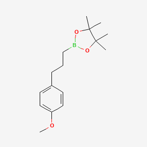 molecular formula C16H25BO3 B1421303 2-[3-(4-甲氧基苯基)丙基]-4,4,5,5-四甲基-1,3,2-二氧杂硼环己烷 CAS No. 1073371-72-8